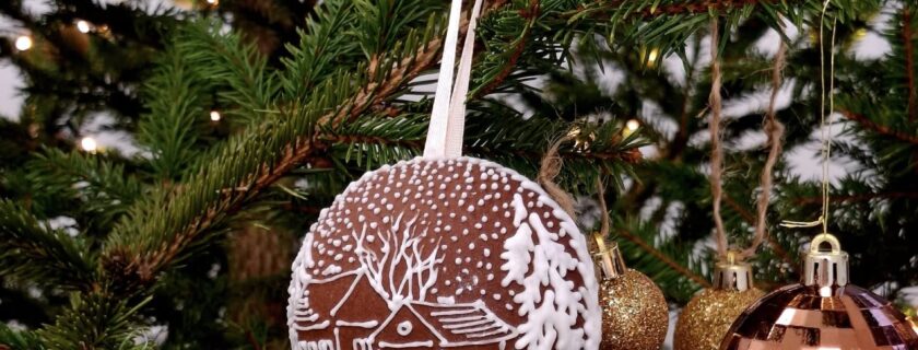 Dziękujemy pani Annie Niedźwieckiej-Jędrzejewskiej,